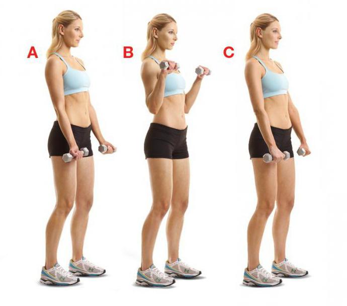 Shoulder muscle exercises