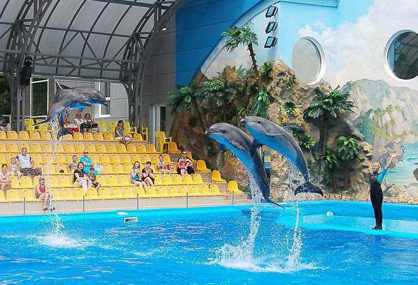 Shevchenko Park (Kharkov): dolphinarium