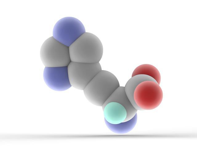 How many amino acids are in the protein?