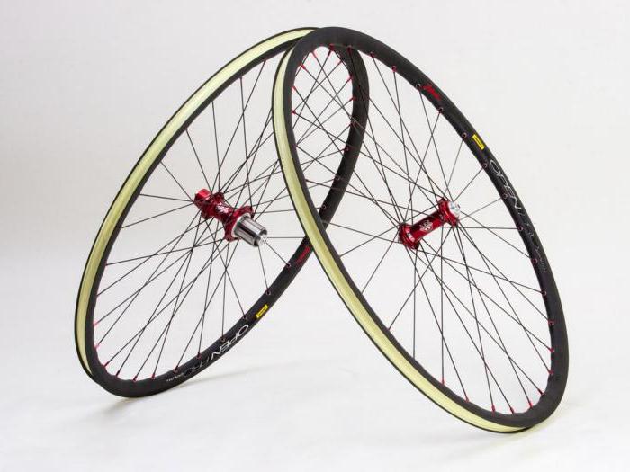 The structure of the rear wheel of a speed bike