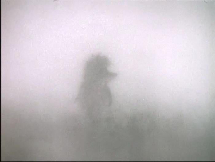 что видит ежик в тумане