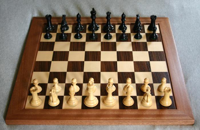 Chess pieces photo