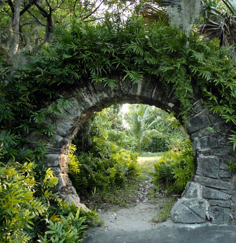 metal arch for plants