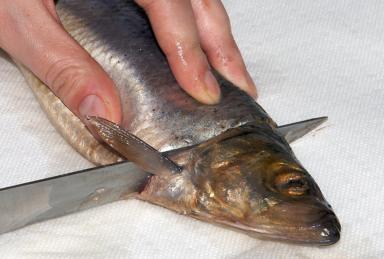 Сухой посол красной рыбы в домашних условиях вкусный рецепт с фото пошагово