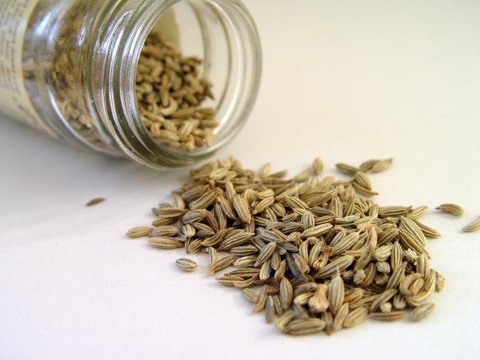 fennel benefits and harms seeds