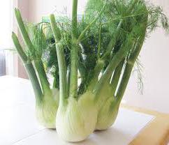 the benefits and harms of fennel