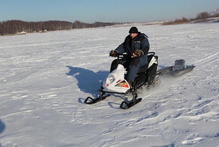 mini snowmobile small fish