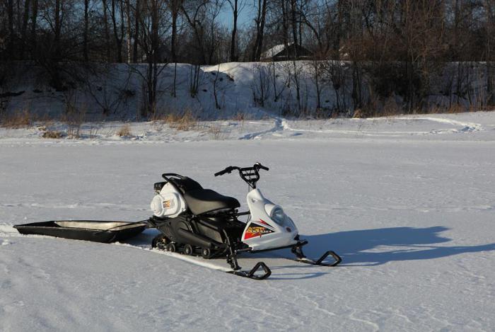 snowmobile small fish 2