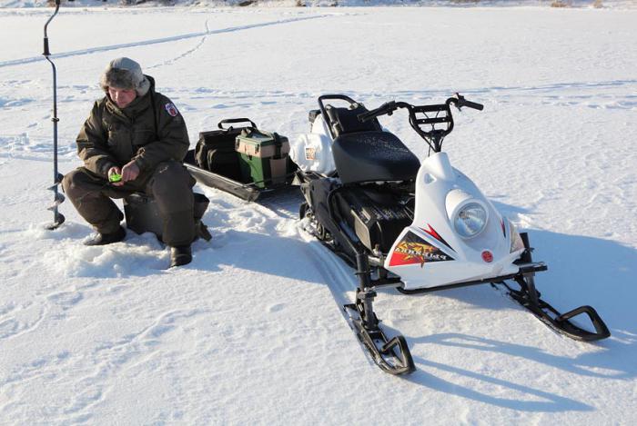 snowmobile small fish