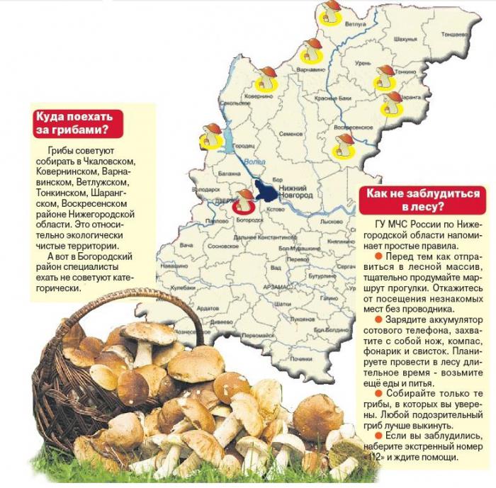 карта грибных мест нижегородской области