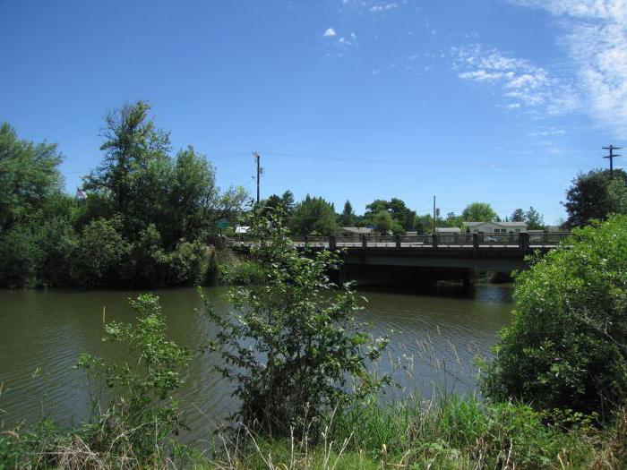 water level in the tom river