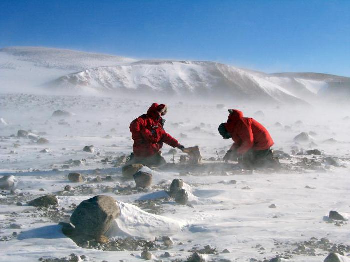 group of geologists