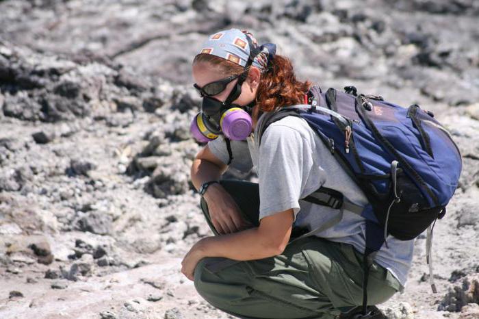 chief geologist