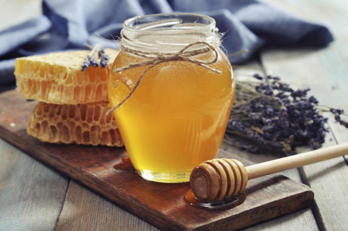 История мёда: интересные факты и первые упоминания о мёде