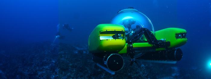 fish living on the ocean floor