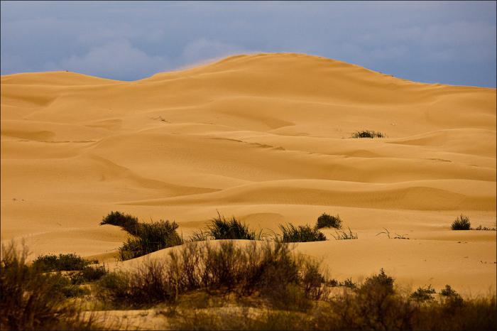 what is a dune