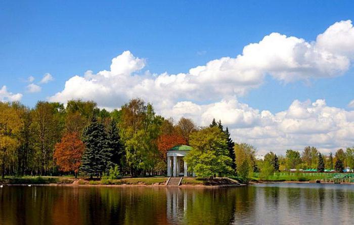 санкт петербург крестовский остров