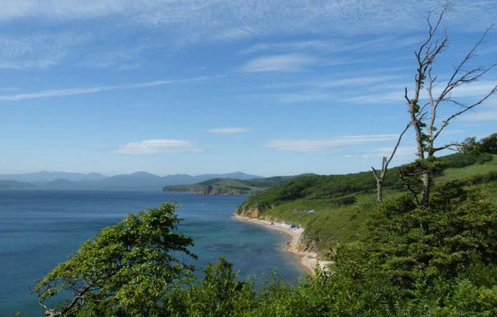 cove muddy island