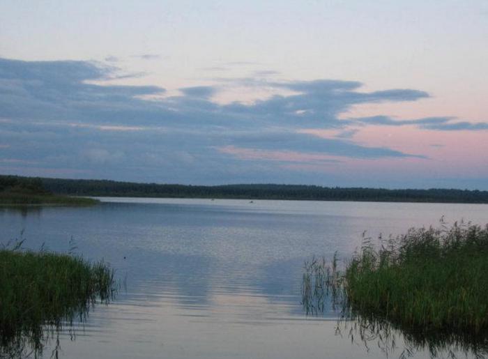 рыбалка в калужской области 