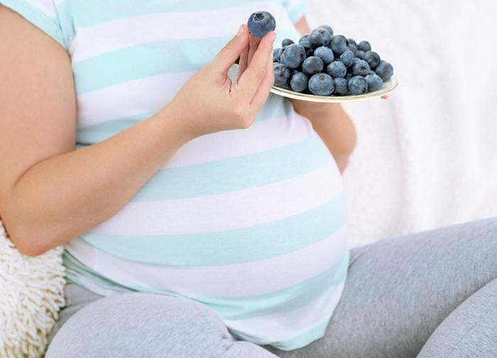 Is blueberry possible during pregnancy?