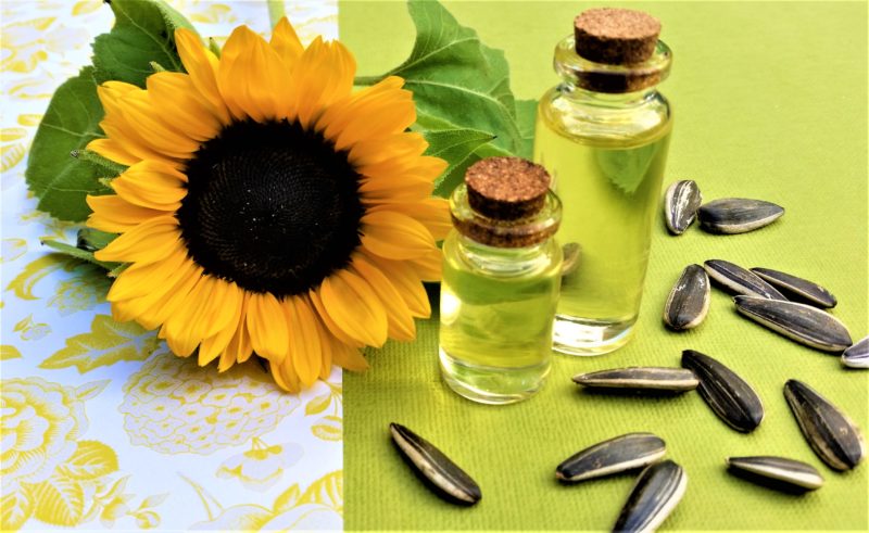 Sunflower, sunflower seeds, oil