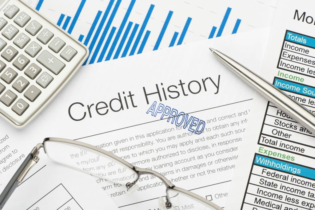 Credit history online