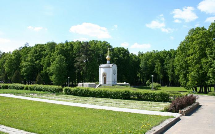Аллея звезд на троекуровском кладбище схема