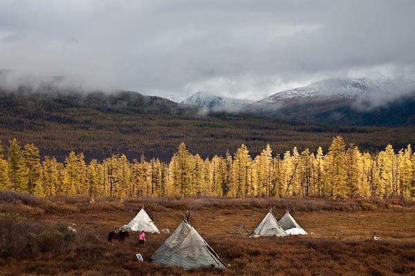 tundra reserves