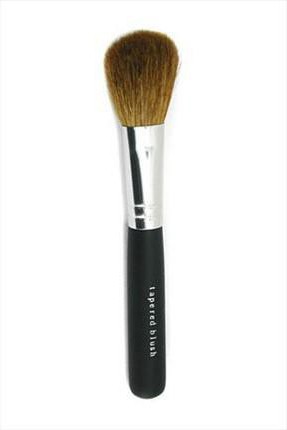 blush brush photo