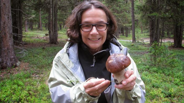 where mushrooms grow in St. Petersburg