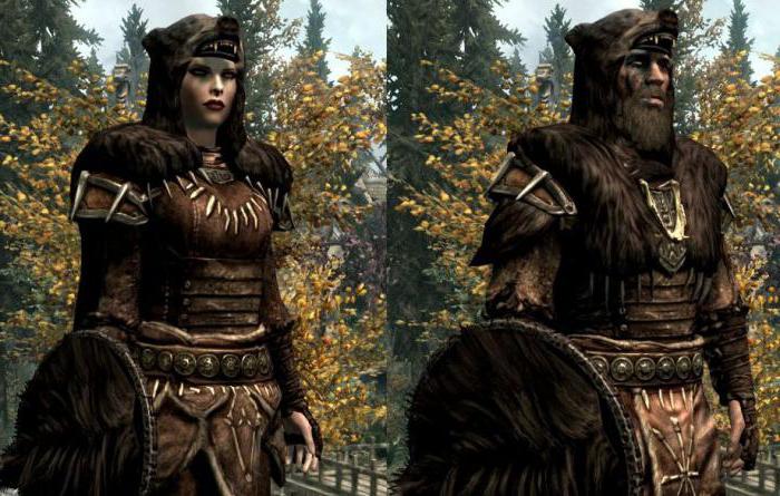 skyrim armor mod