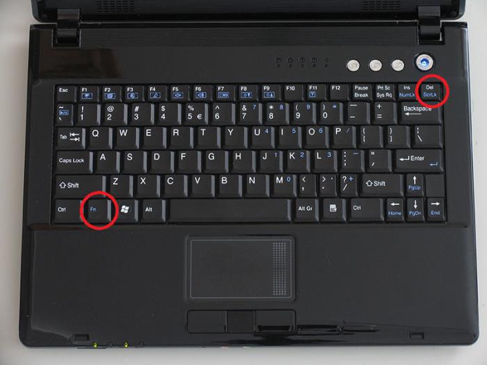 Как отключить numlock на ноутбуке hp probook