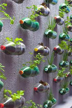 vertical beds from plastic bottles