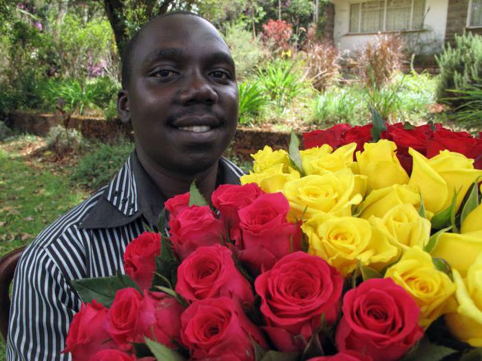 кенийская роза фото