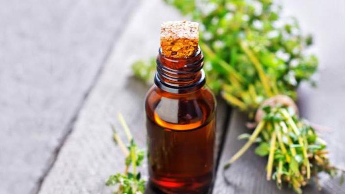 thyme healing properties for men