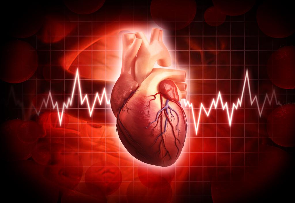 Причины нарушения работы сердца