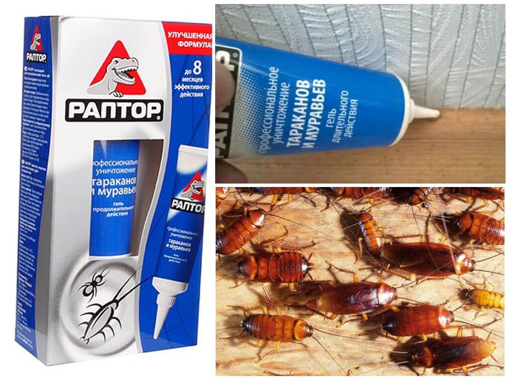 Против тараканов в квартире. Раптор ЛОВУШКА для мокриц. Средство от тараканов. Раптор от тараканов. Средства от тараканов в квартире.
