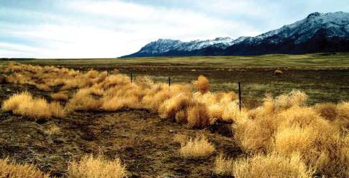 types of natural ecosystems