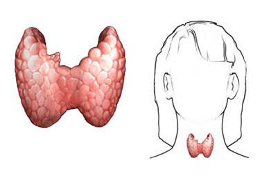 Лечение рака щитовидной железы радиоактивным йодом в москве стоимость 2016 thumbnail