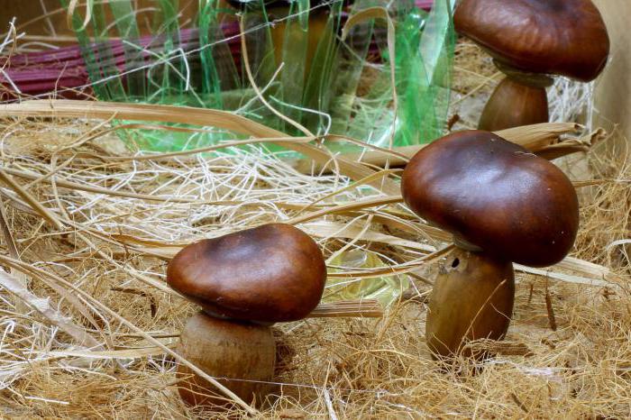 поделка грибы из природного материала 