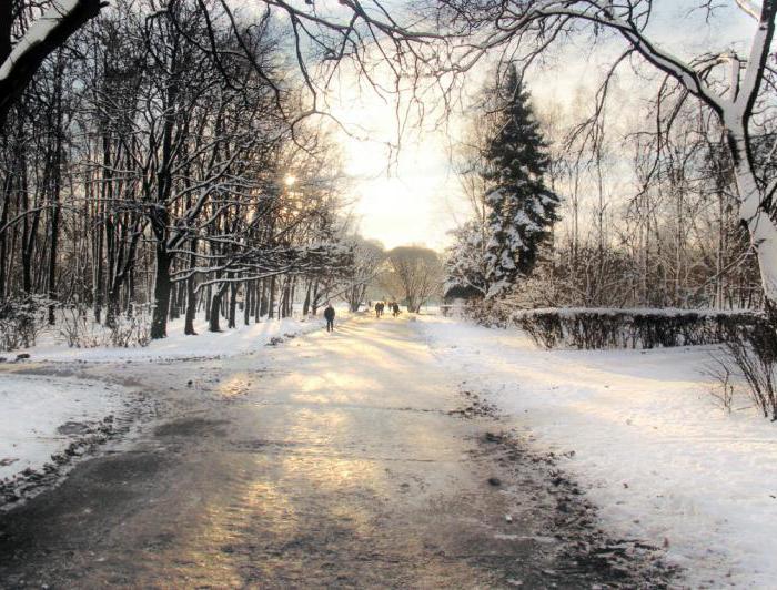 средняя температура воздуха в январе в москве