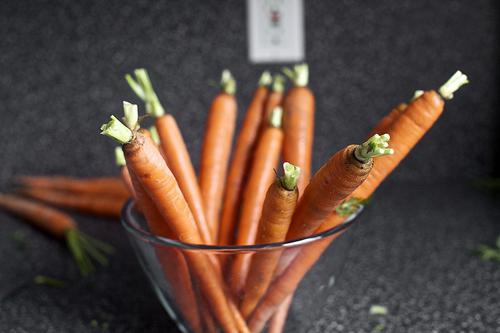 морковь шантане отзывы