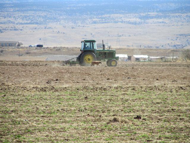 spring field work