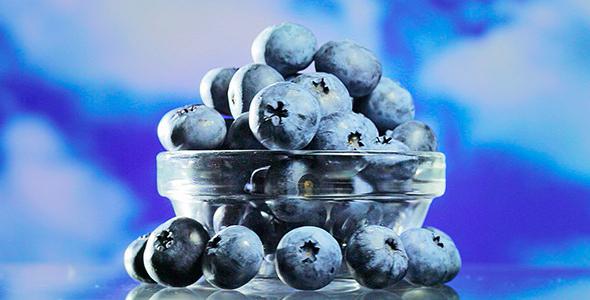 blueberry garden varieties for Moscow region characteristic