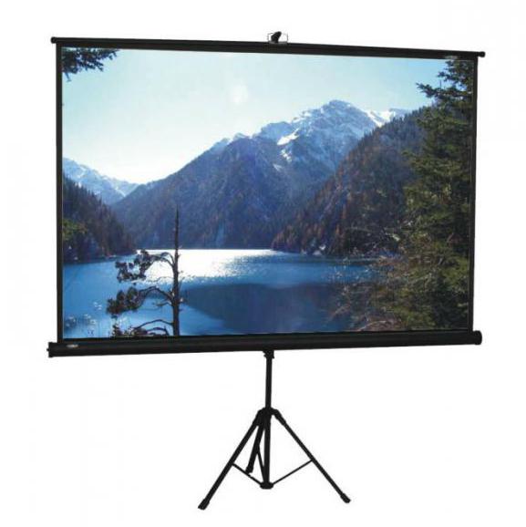 projector screen Price