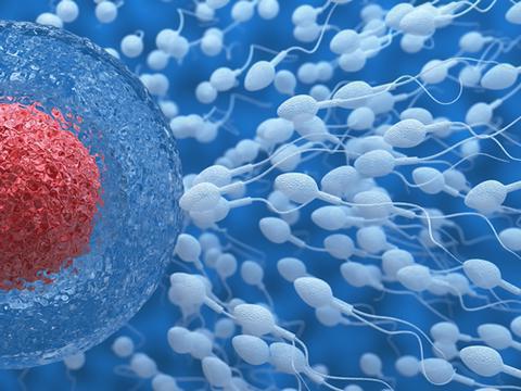 малоподвижные сперматозоиды что делать
