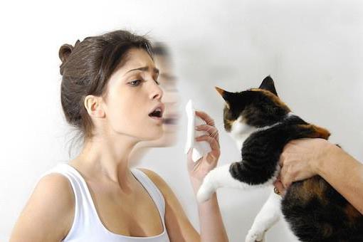 лечится ли аллергия на кошек 