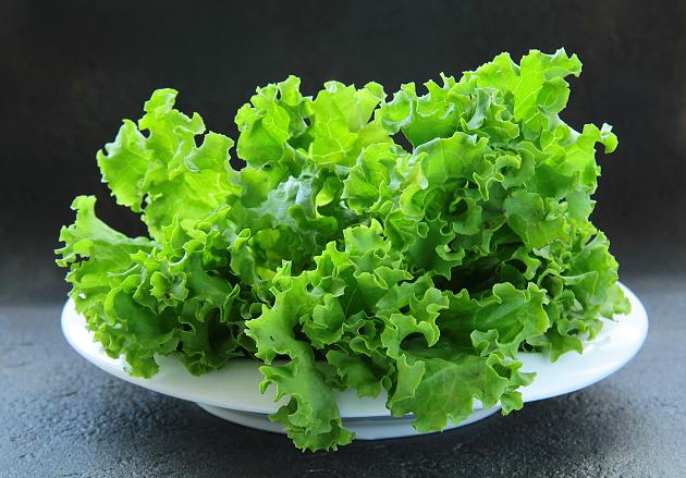 pancreatitis diet salads recipes