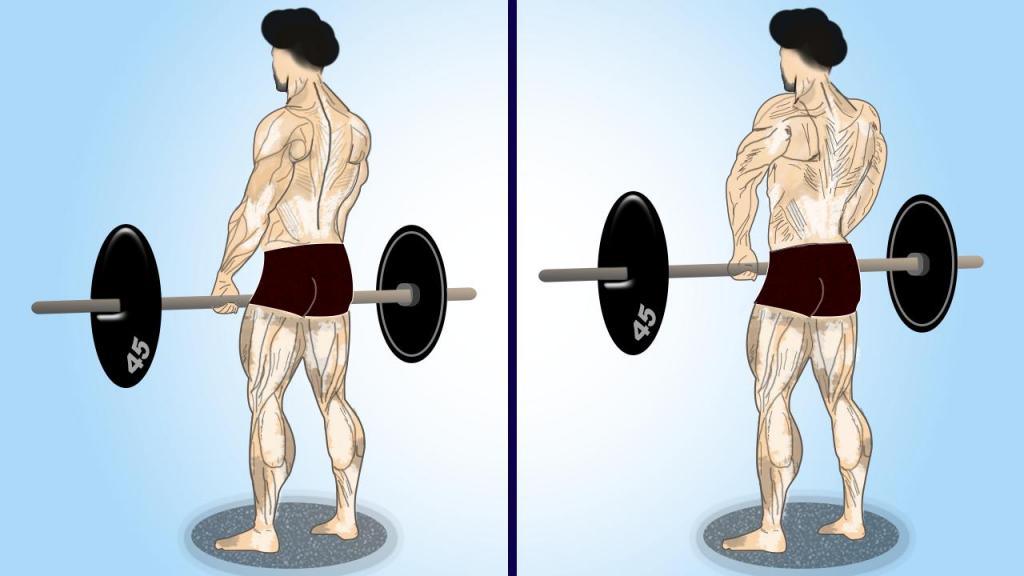 Как накачать толщину спины: упражнения и рекомендации