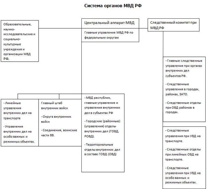 Структура управления мвд россии схема